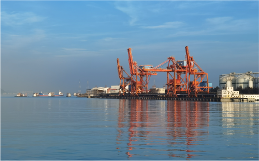 亿万先生MR口服务有限公司